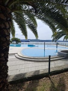 Pogled na zunanje bazene ob morju skozi palmove veje.
