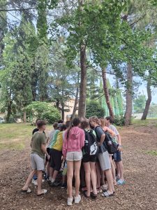 Učenci z voditeljico spoznavajo rastline v mediteranskem parku.